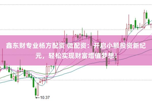 鑫东财专业杨方配资 微配资：开启小额投资新纪元，轻松实现财富增值梦想！