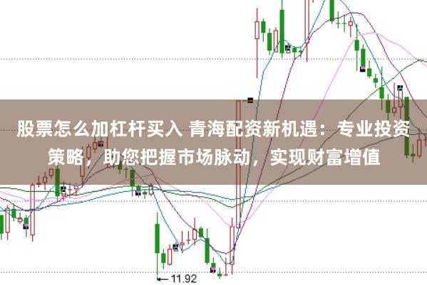 股票怎么加杠杆买入 青海配资新机遇：专业投资策略，助您把握市场脉动，实现财富增值