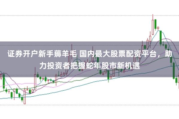 证券开户新手薅羊毛 国内最大股票配资平台，助力投资者把握蛇年股市新机遇