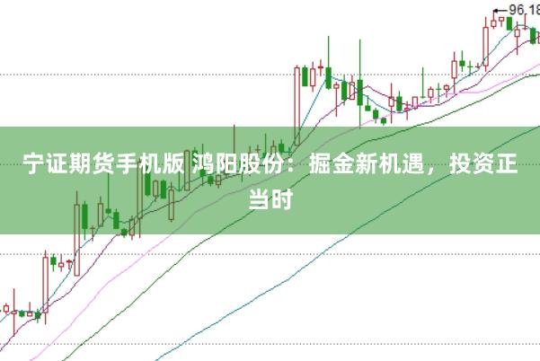 宁证期货手机版 鸿阳股份:掘金新机遇,投资正当时