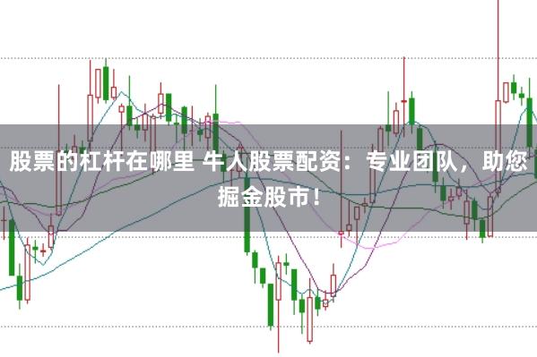 股票的杠杆在哪里 牛人股票配资:专业团队,助您掘金股市!