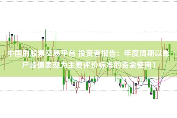 中国的股票交易平台 投资者报告：年度周期以账户峰值表现为主要评价标准的资金使用1