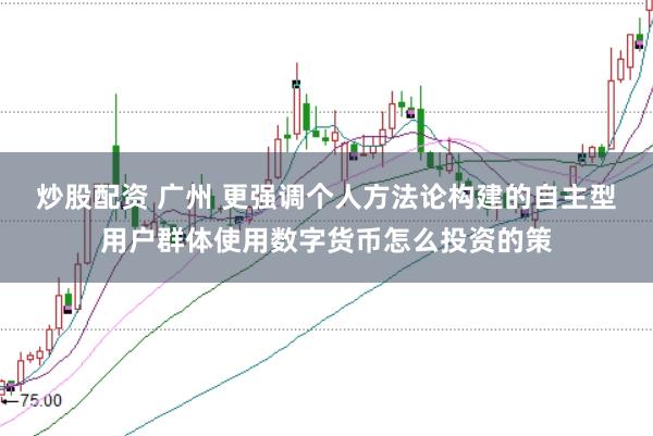 炒股配资 广州 更强调个人方法论构建的自主型用户群体使用数字货币怎么投资的策