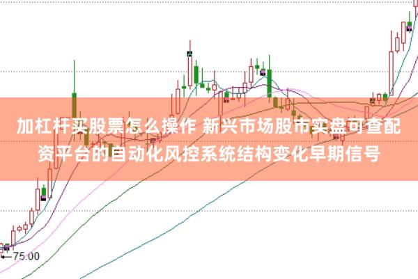 加杠杆买股票怎么操作 新兴市场股市实盘可查配资平台的自动化风控系统结构变化早期信号