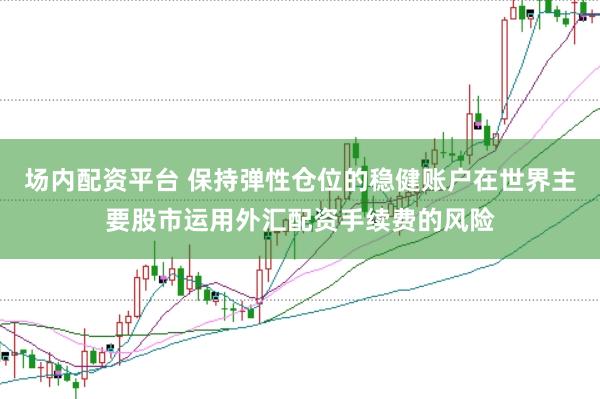 场内配资平台 保持弹性仓位的稳健账户在世界主要股市运用外汇配资手续费的风险