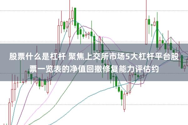 股票什么是杠杆 聚焦上交所市场5大杠杆平台股票一览表的净值回撤修复能力评估约