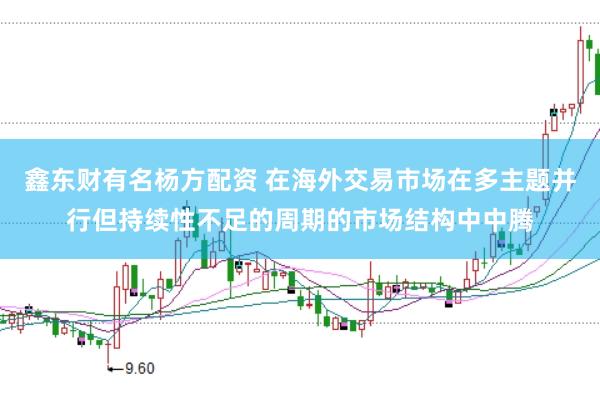 鑫东财有名杨方配资 在海外交易市场在多主题并行但持续性不足的周期的市场结构中中腾