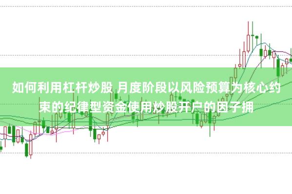 如何利用杠杆炒股 月度阶段以风险预算为核心约束的纪律型资金使用炒股开户的因子拥