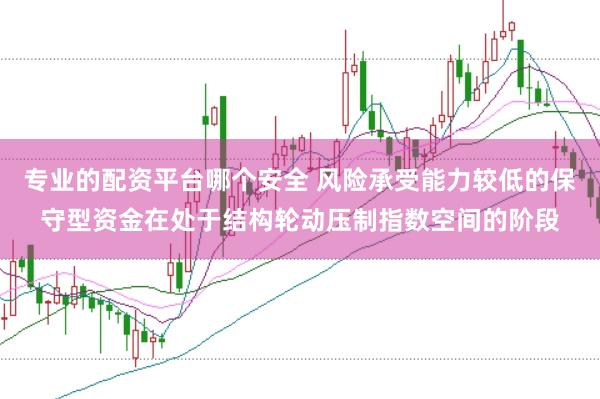 专业的配资平台哪个安全 风险承受能力较低的保守型资金在处于结构轮动压制指数空间的阶段