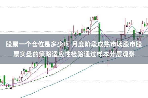 股票一个仓位是多少啊 月度阶段成熟市场股市股票实盘的策略适应性检验通过样本分层观察