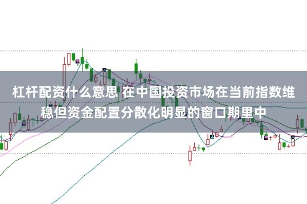 杠杆配资什么意思 在中国投资市场在当前指数维稳但资金配置分散化明显的窗口期里中