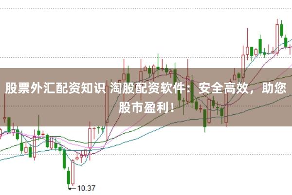 股票外汇配资知识 淘股配资软件:安全高效,助您股市盈利!