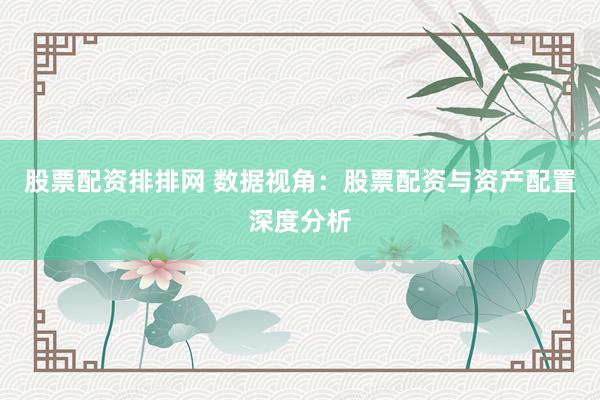 股票配资排排网 数据视角：股票配资与资产配置深度分析