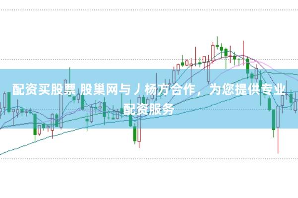 配资买股票 股巢网与丿杨方合作，为您提供专业配资服务