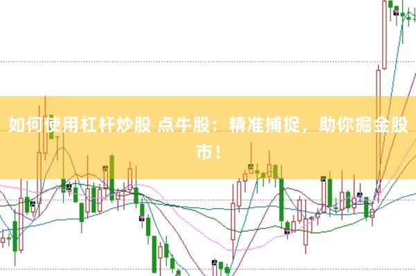 如何使用杠杆炒股 点牛股：精准捕捉，助你掘金股市！