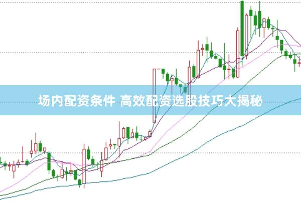 场内配资条件 高效配资选股技巧大揭秘